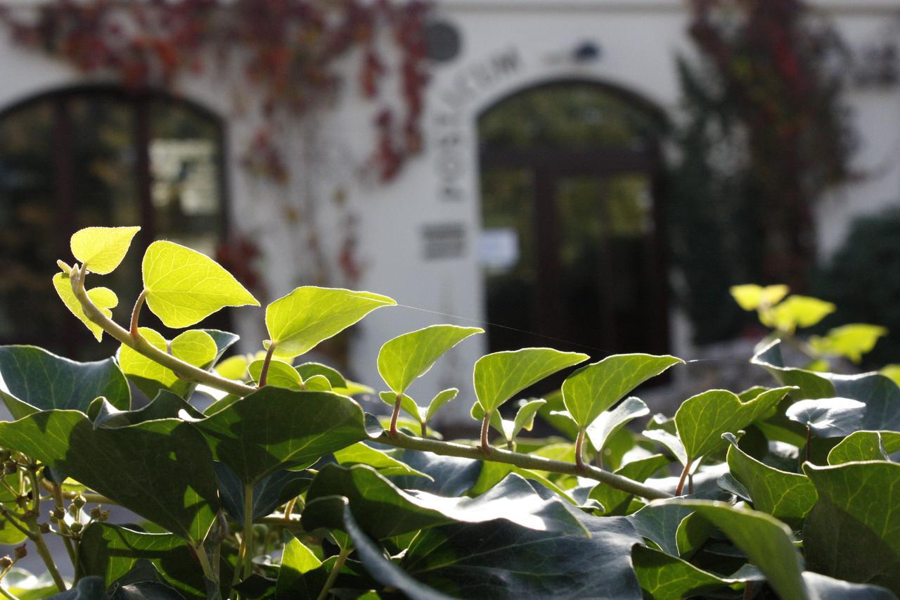 The Zen Hotel - Posticum 오라데아 외부 사진
